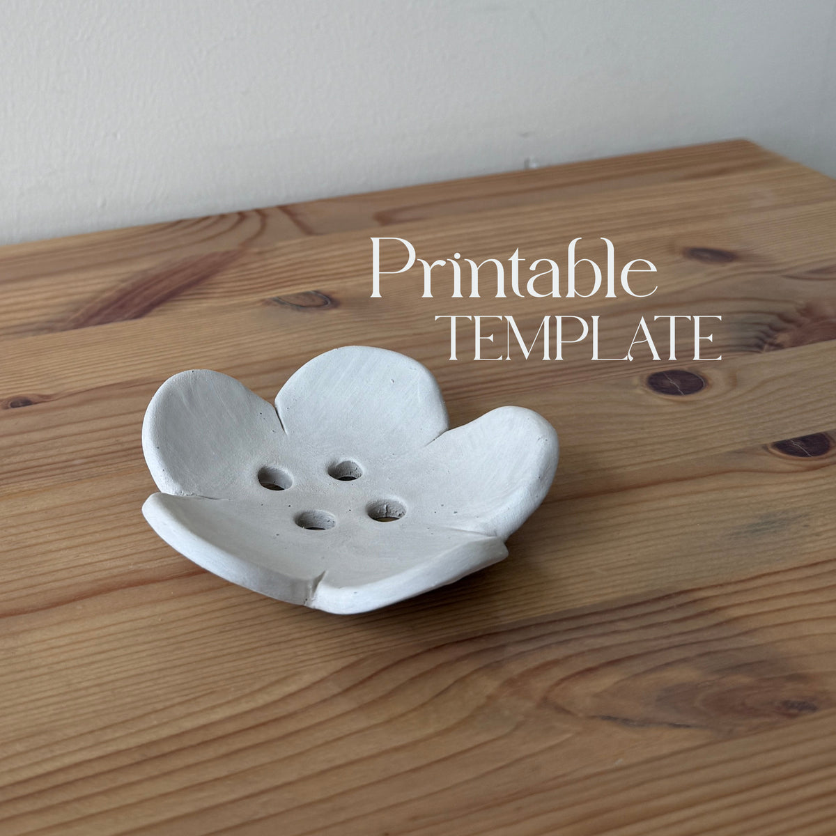 Egg Separator