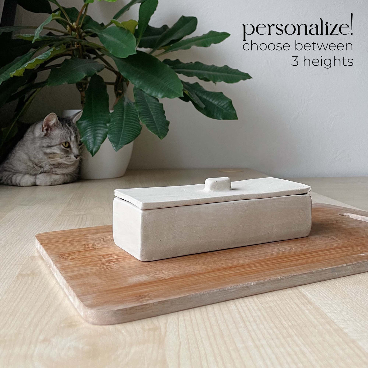 Box-6